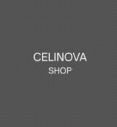 TikTok Shop